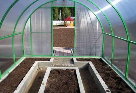 Как подготовить и чем обработать землю в теплице под томаты весной? - фото