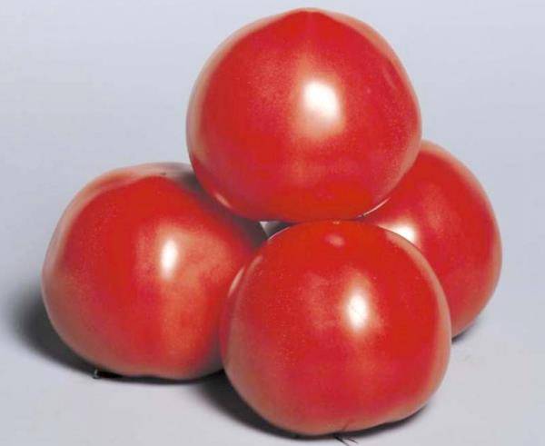 Надежный гибрид томата для теплиц Пинк Парадайз - фото