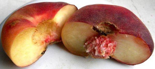 Почему стоит выращивать плоский инжирный персик - фото