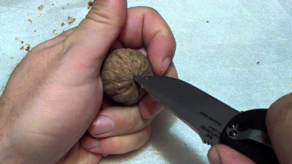 Как можно быстро очистить грецкие орехи? - фото