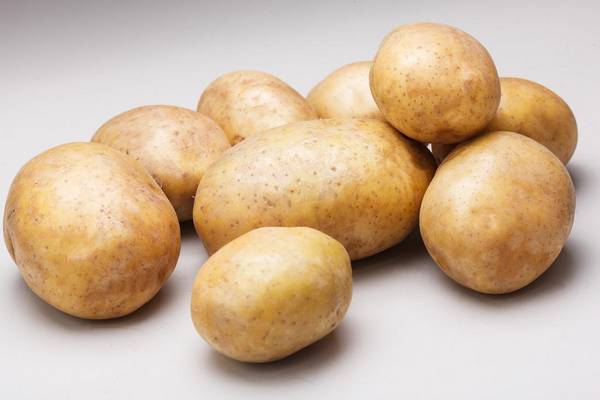 Картофель сорта Ривьера: описание от посадки до урожая с фото