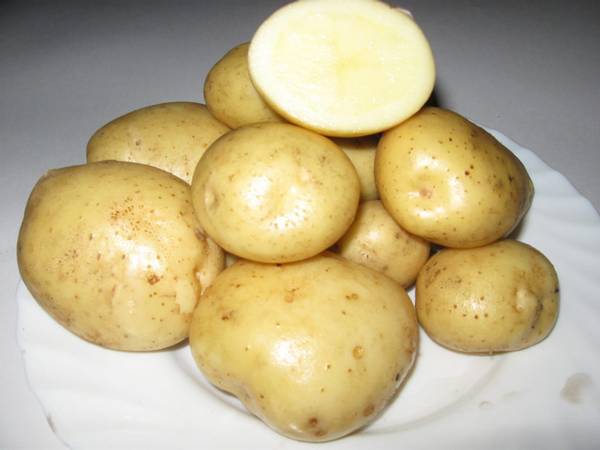 Чем обрабатывать картофель перед посадкой? - фото