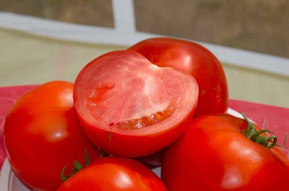 Выращивание томата сорта Бобкат с фото