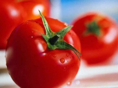 Характеристика сорта помидоров Красная шапочка: отзывы с фото с фото