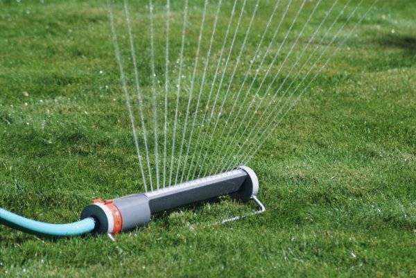 Технические характеристики и применение распылителей для полива огорода - фото