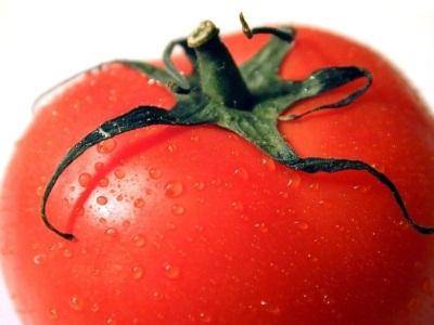 Рассада помидоров на подоконнике: несколько важных советов - фото