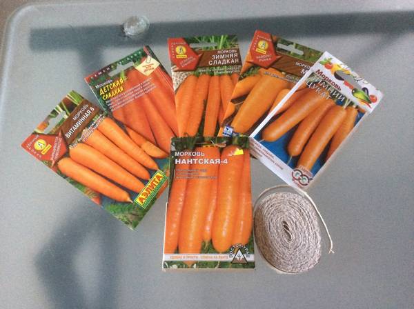 Советы по посадке моркови весной - фото