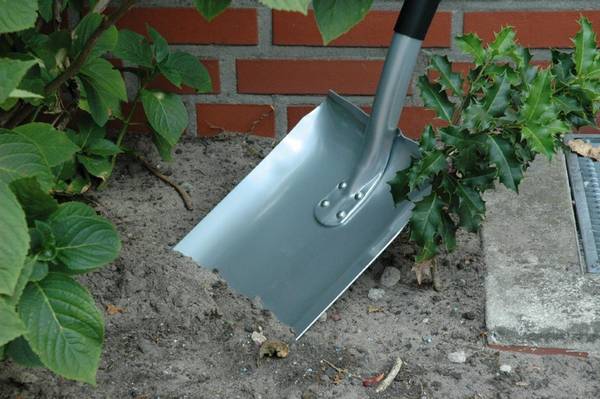 Особенности и виды совковой лопаты для сада и огорода с фото