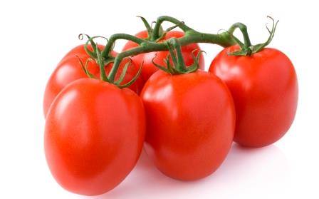 Универсальный томат Рома: характеристика и описание сорта с фото