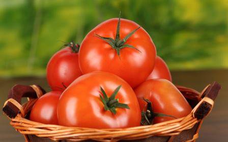 Как вырастить томаты в мае - фото