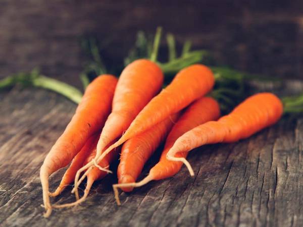 Рекомендации по уборке и хранению моркови с фото