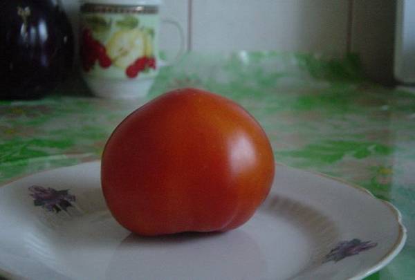 Выбираем вместе лучшие сорта томатов для теплиц, как стеклянных, так и пленочных с фото