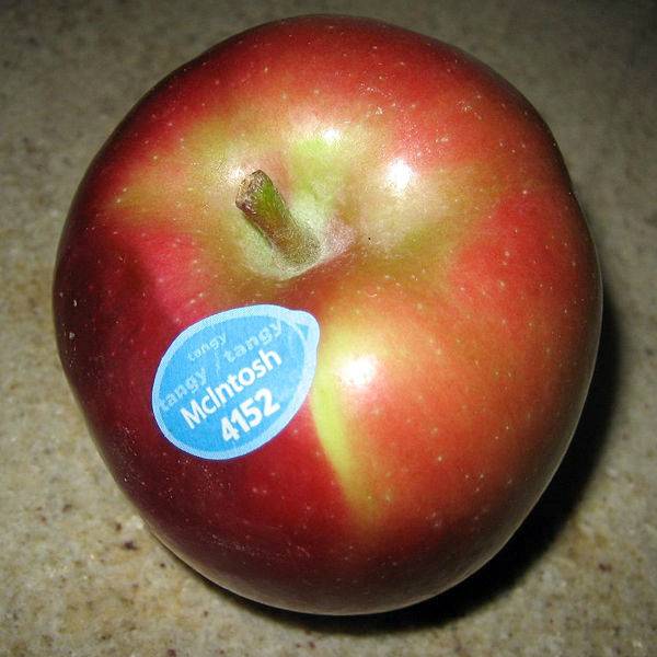 Описание канадского сорта яблони Макинтош с фото
