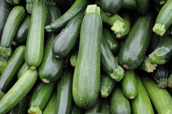Зелёные кабачки — вкусно и просто с фото